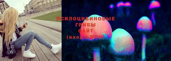 эйфоретик Волоколамск
