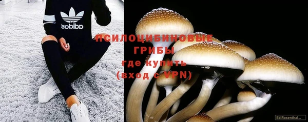 эйфоретик Волоколамск