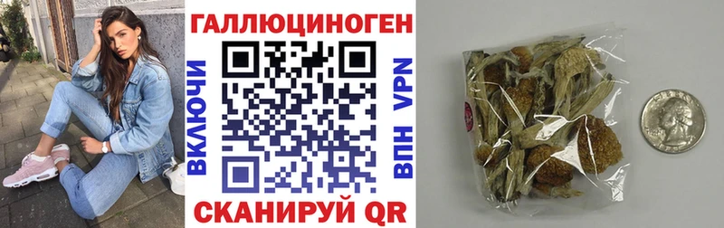Галлюциногенные грибы мицелий  Александровское 
